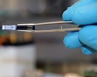 New composite material as CO2 sensor