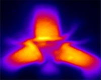 Quantum Step Closer To Entanglement Filter