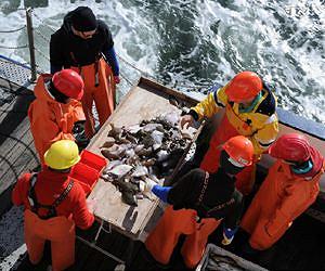 'Sustainable fish' label comes under fire