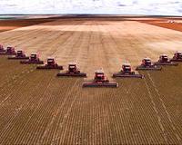 Harvests in the US to suffer from climate change
