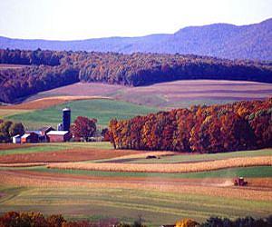 Report raises concern over Europe's land-use footprint