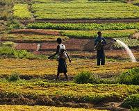 Idjwi, a haven of peace in DR Congo's conflict-ridden east