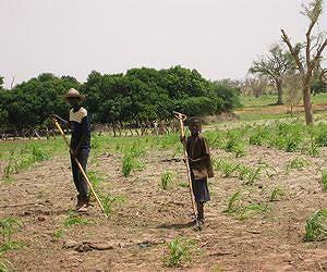 African governments giving land away quickly, recognizing land rights slowly