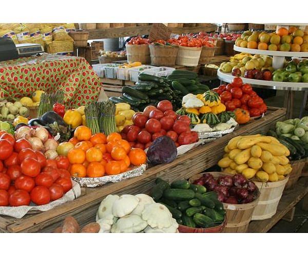Italian fruit detective racing to save forgotten varieties