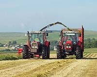 French GM ban infuriates farmers, delights environmentalists