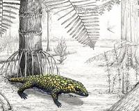 Amphibian adapted to varied evolutionary pressures