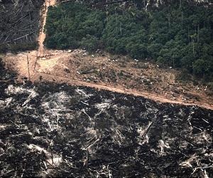 Ocean Temperatures Can Predict Amazon Fire Season Severity11.10.11