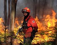 Portugal prepares for fire intervention as heatwave approaches