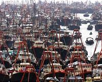 Thai fishing fleets shift to distant waters to avoid crackdown: Greenpeace