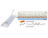 Bridge over coupled waters: Scientists 3D-print all-liquid 'lab on a chip'