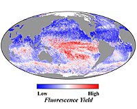 Eerie Red Glow Traces Ocean Plant Health
