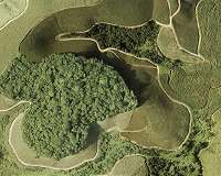To keep more carbon on the ground, halting farmland expansion is key
