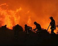 New forest fire rages in southeastern France