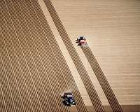 Climate change threatens food supplies