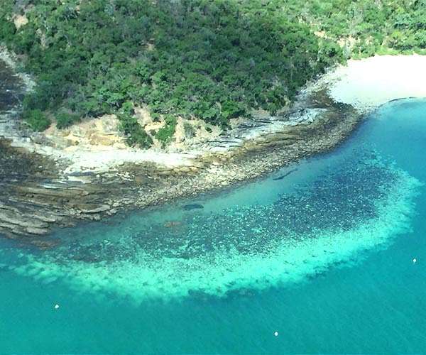Australia declares 'mass bleaching' at Great Barrier Reef