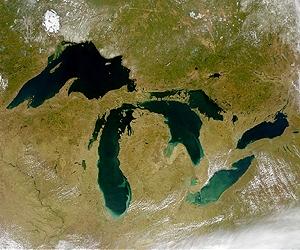 Lake Erie Hypoxic Zone Doesn't Affect All Fish The Same