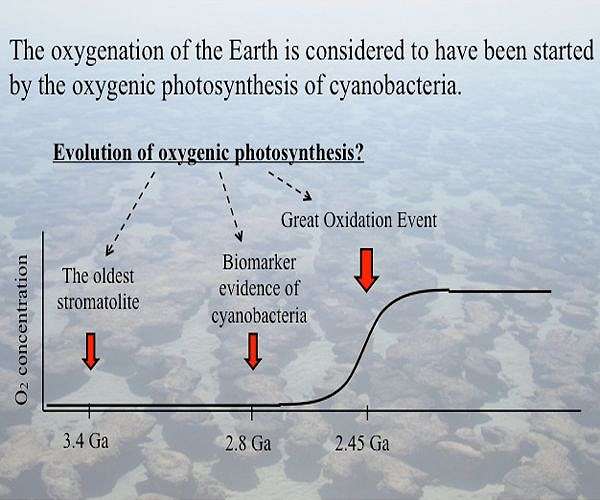 Some early life forms may have breathed oxygen well before it filled the atmosphere