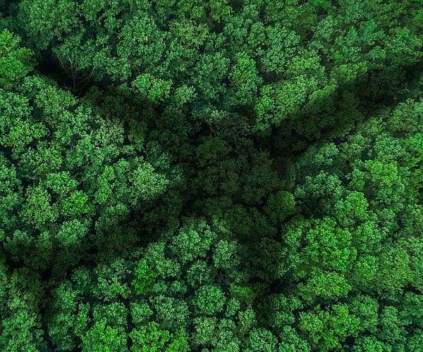US finalizes tariff hikes on more China green tech imports