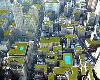 How to live off the land... in a major US city