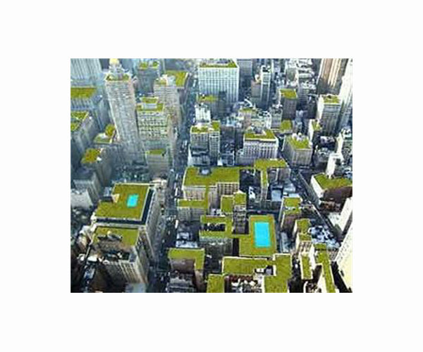 Roof greening in Chinese cities offers significant carbon sink potential