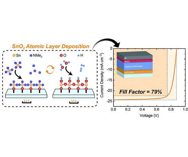 Outstanding performance of organic solar cell using tin oxide