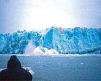 Increased Ocean Acidification In Alaska Waters