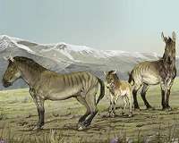Dust in ice cores leads to new knowledge on the advancement of the ice before the ice age