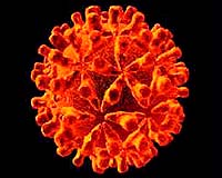 New Evidence Of Battle Between Humans And Ancient Virus