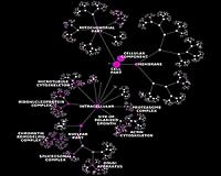 Google joins effort to boost genomics research