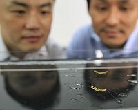 Robotic insect mimics Nature's extreme moves