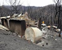 Wildfires last straw for parched Australian wineries