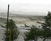 Tree-Killing Hurricanes Could Contribute To Global Warming