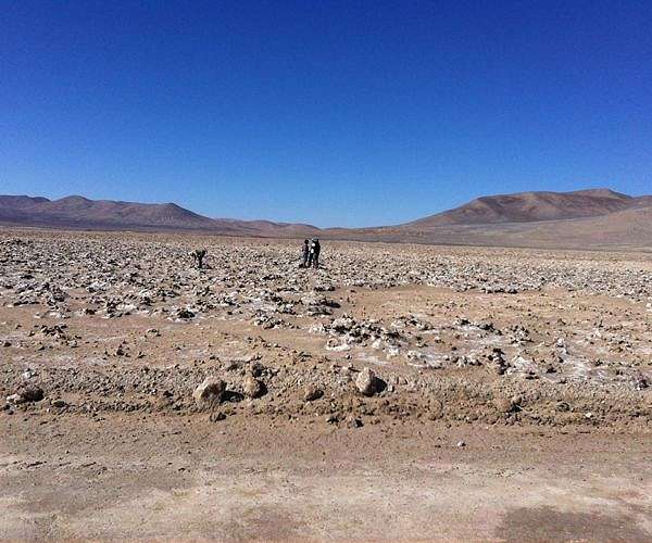 Organic molecules help soil store water even in desertlike conditions