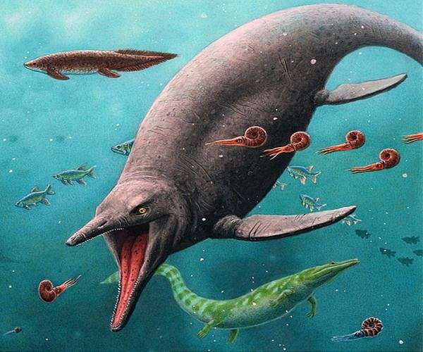 Oldest sea reptile from age of dinosaurs found on arctic island