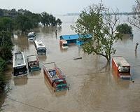Star DiCaprio urged to cut support for India river project