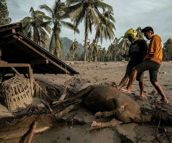 Indonesia flood death toll rises to 50 with 27 missing