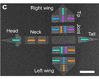 On the way to intelligent microrobots