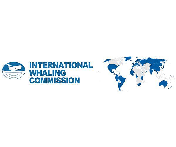 Plan to overturn commercial whaling moratorium sinks in Peru