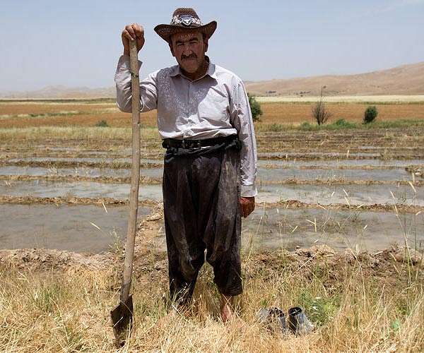 Kurdish Iraqi farmer sprouts online advice, green awareness