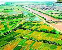 Climatic effect of irrigation over the Yellow River basin