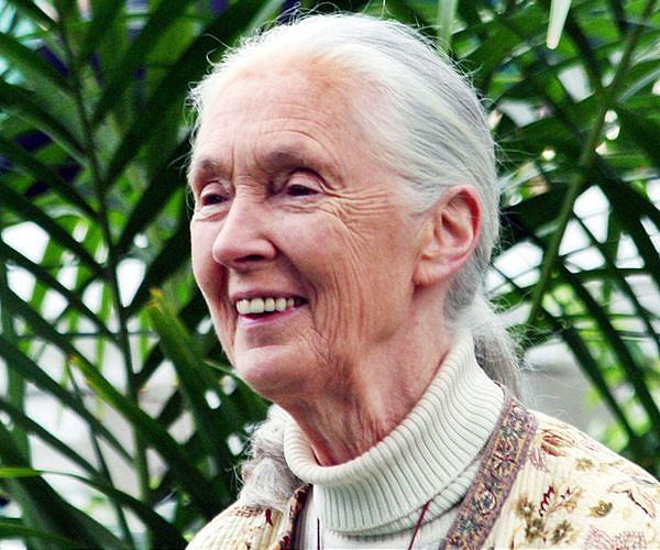 Mattel unveils Jane Goodall Barbie, complete with chimp