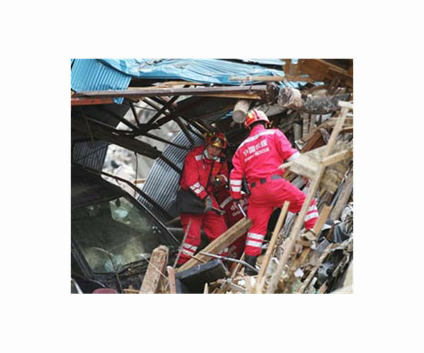 Ruin and rescue dogs in quake-ravaged Wajima