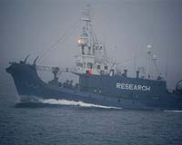 Harpoonless Japanese whalers heading for Antarctic: govt