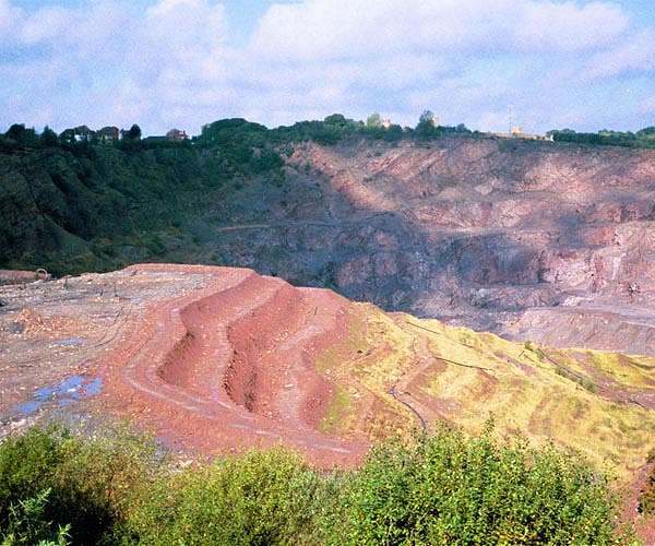 Former quarry turns haven for endangered UK birds