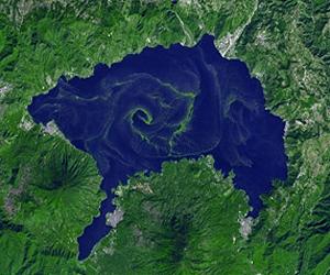 Ecosystems cope with stress more effectively the greater the biodiversity