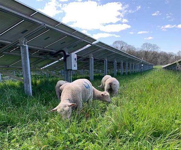 Surprisingly diverse innovations led to dramatically cheaper solar panels