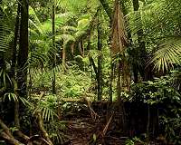 Scientists complete conservation puzzle, shaping understanding of life on earth