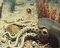 What Really Caused The Largest Mass Extinction In Earth History