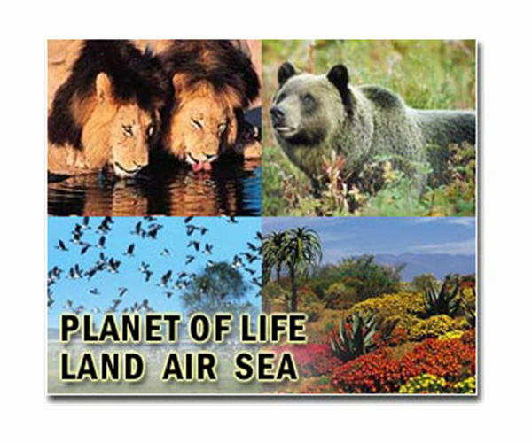 Money at the heart of international efforts to save nature