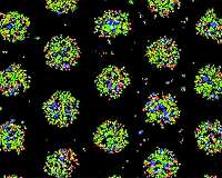 In vivo data show effects of spaceflight microgravity on stem cells and tissue regeneration
